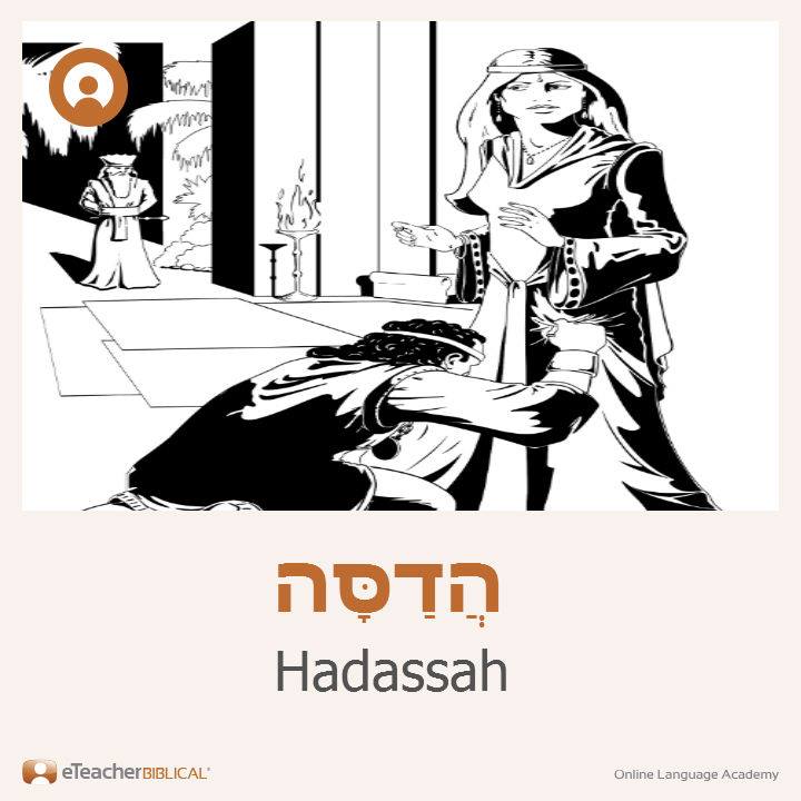 Israel - Learn a Biblical Name: Hadassah Hebrew: הֲדַסָּה Pronunciation ...