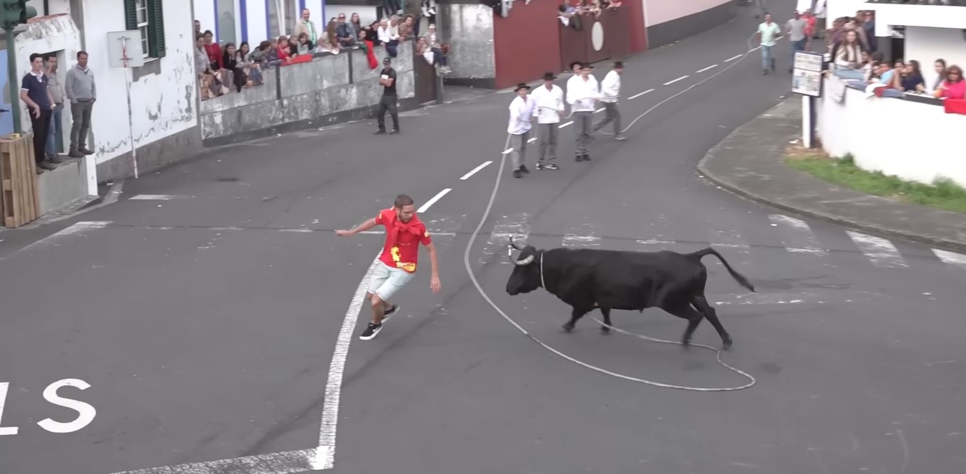 Touradas à Corda da Ilha Terceira | E Estão Confirmadas 3 Touradas de ...