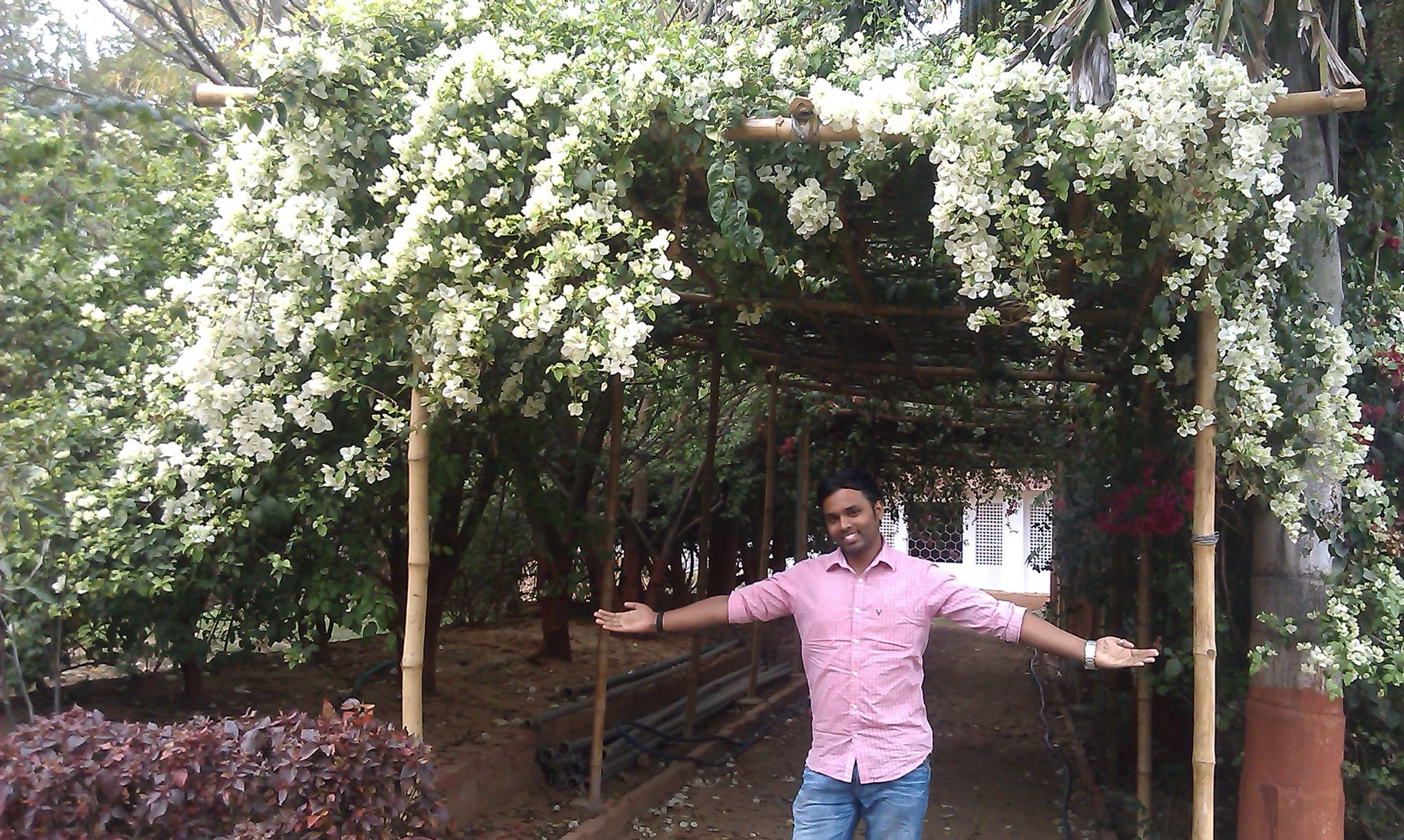 Jude Vinod Reddy
