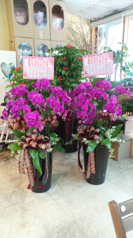 心願網路花店 訂單編號 A 1 吳蒼泰經理敬執信安創新猷賀映清荷共歡欣經緯胸懷展鴻圖理膺蒼泰輝台銀吳銘益楊美容余如松黃英珍吳碧洲楊秀珠李文秀黃秋燕張秀美馬詠蘭葉明樂林春玉吳麗真林鉅能蔡淑亮林楓紅叢 小梅池若華王淑芬盧昭彰