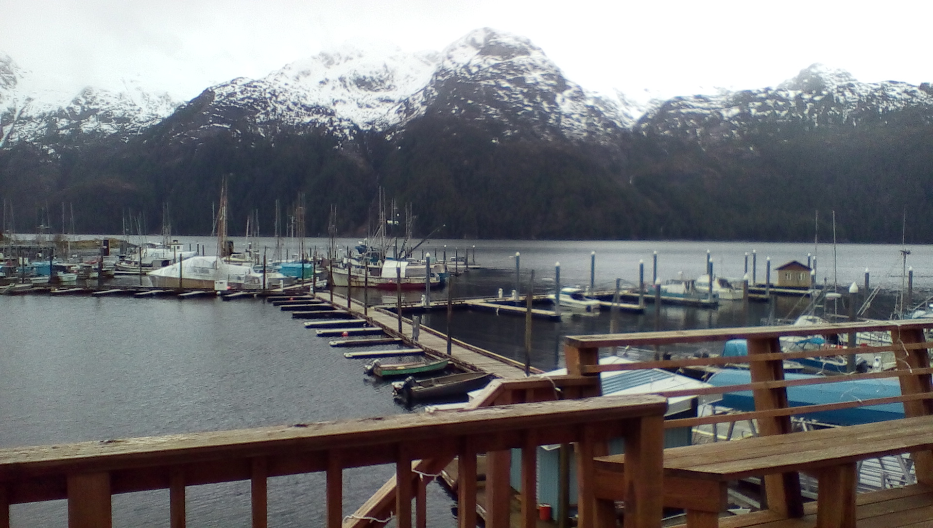 Pelican Post | Is there anybody taking the ferry Pelican to Juneau and ...