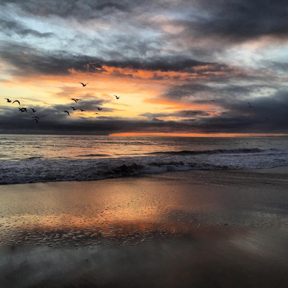 Meg Riley Photography | Adelaide SA