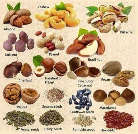 Hanoikids - [ENGLISH LESSONS WITH HANOIKIDS] Nuts vocab: Almond: hạnh ...