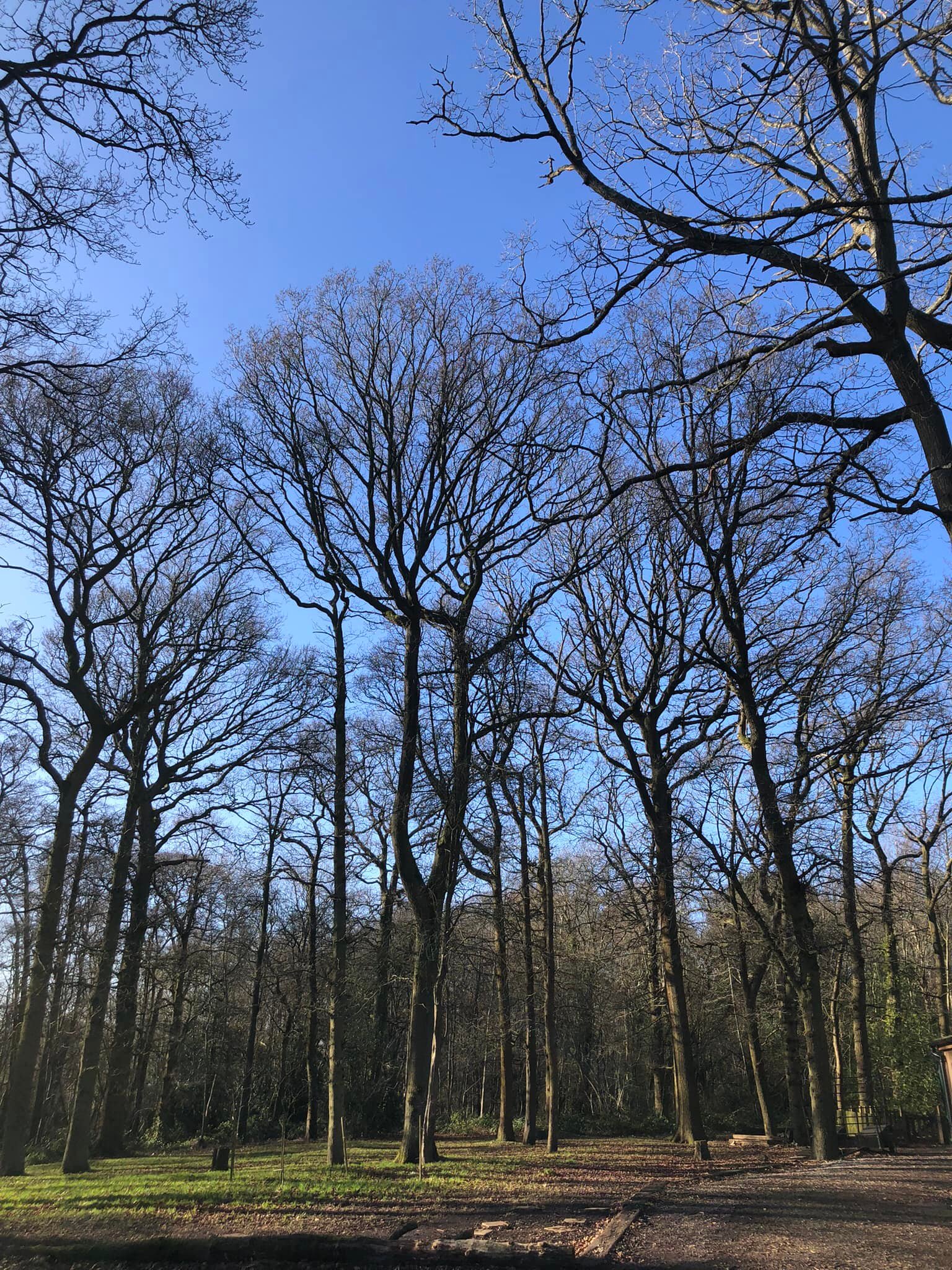 Friends of Solihull Mill Pool | Solihull