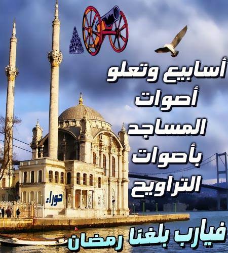 Mahmmod Rabah
