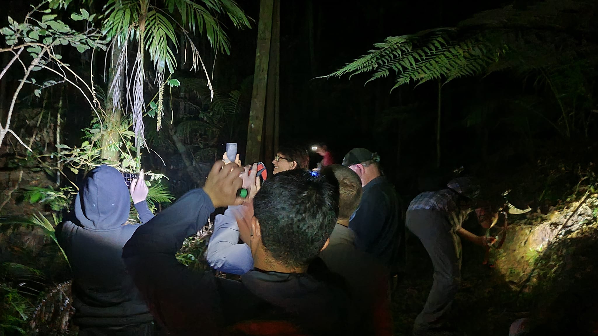 Queensland Frog Society Inc. | Brisbane QLD