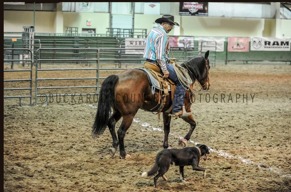 WSRRA -... - WSRRA - Western States Ranch Rodeo Association