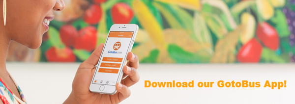 GotoBus - Download your GotoBus #App with new added... | Facebook
