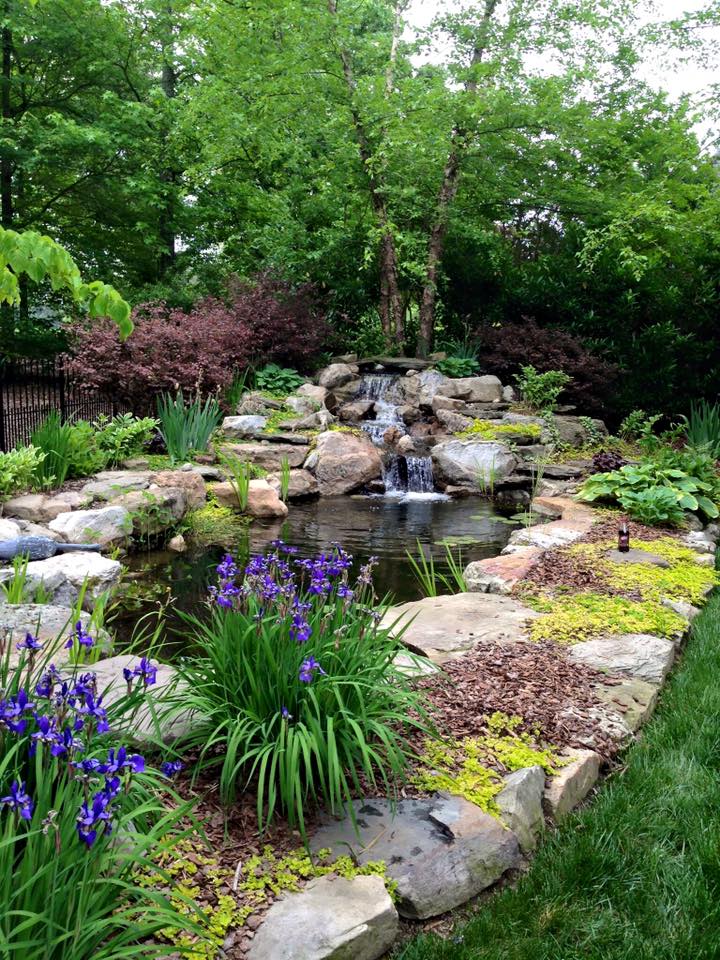 We build custom Waterfalls , Fish... - American Aquascapes