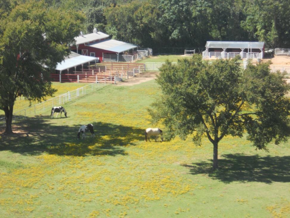 Farm & Ranch Publishing,... - Farm & Ranch Publishing, LLC