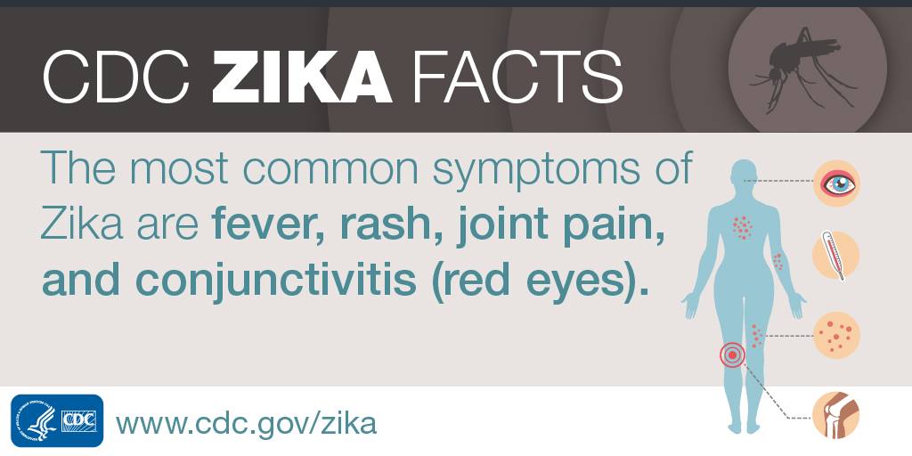 CDC - The most common symptoms of #Zika virus disease are... | Facebook