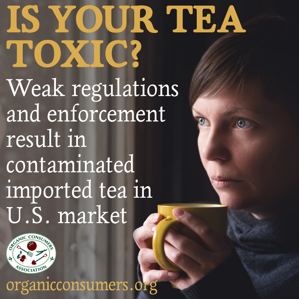 Organic Consumers Association - Many imported teas test high in ...