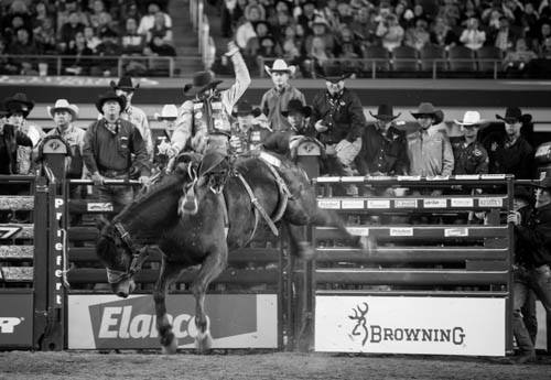 Browning