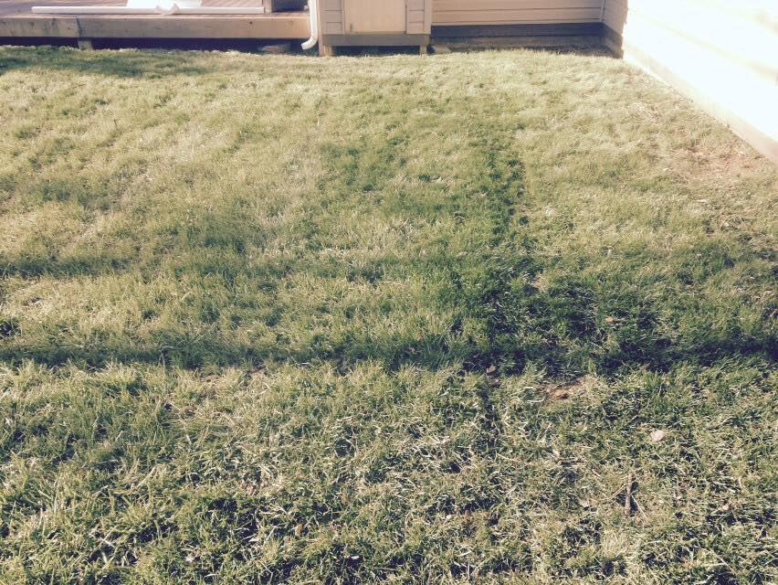 Execu Cuts Lawn and Landscape Specialists | Lawrenceburg KY
