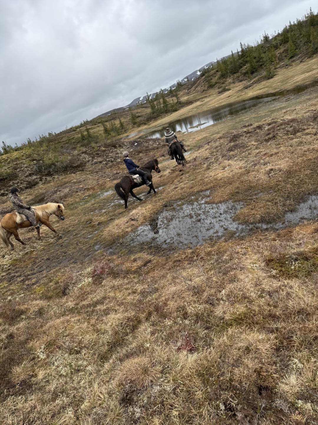 Miljøagentene Meråker og Stjørdal