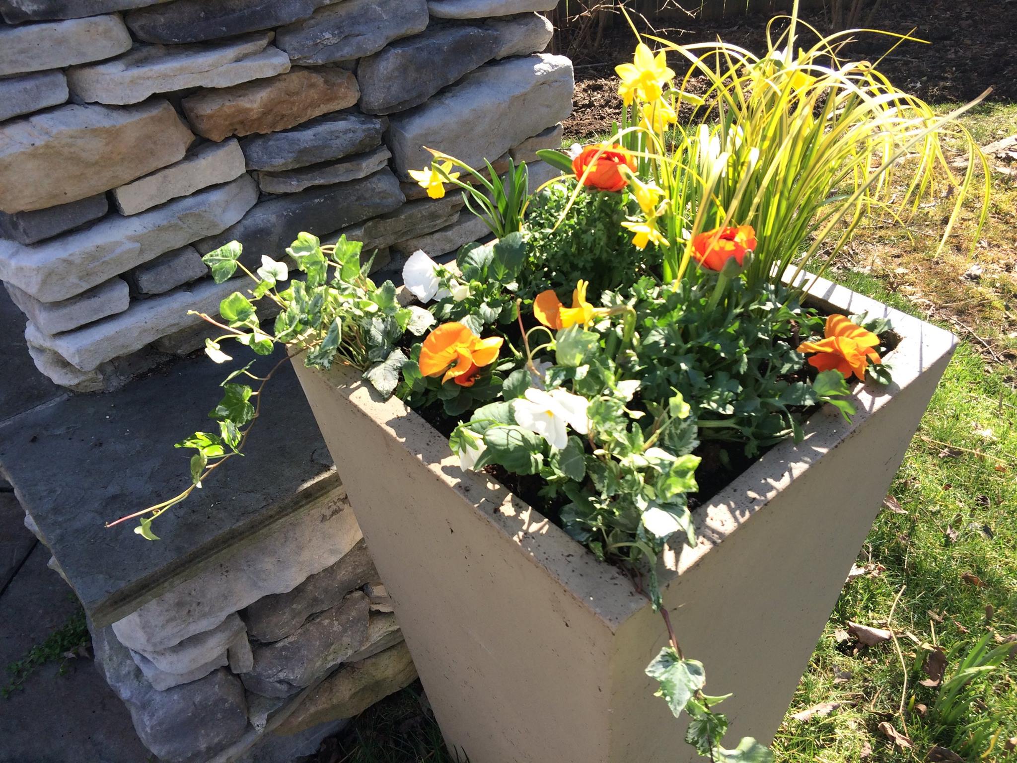 Merrifield Garden Center added... - Merrifield Garden Center