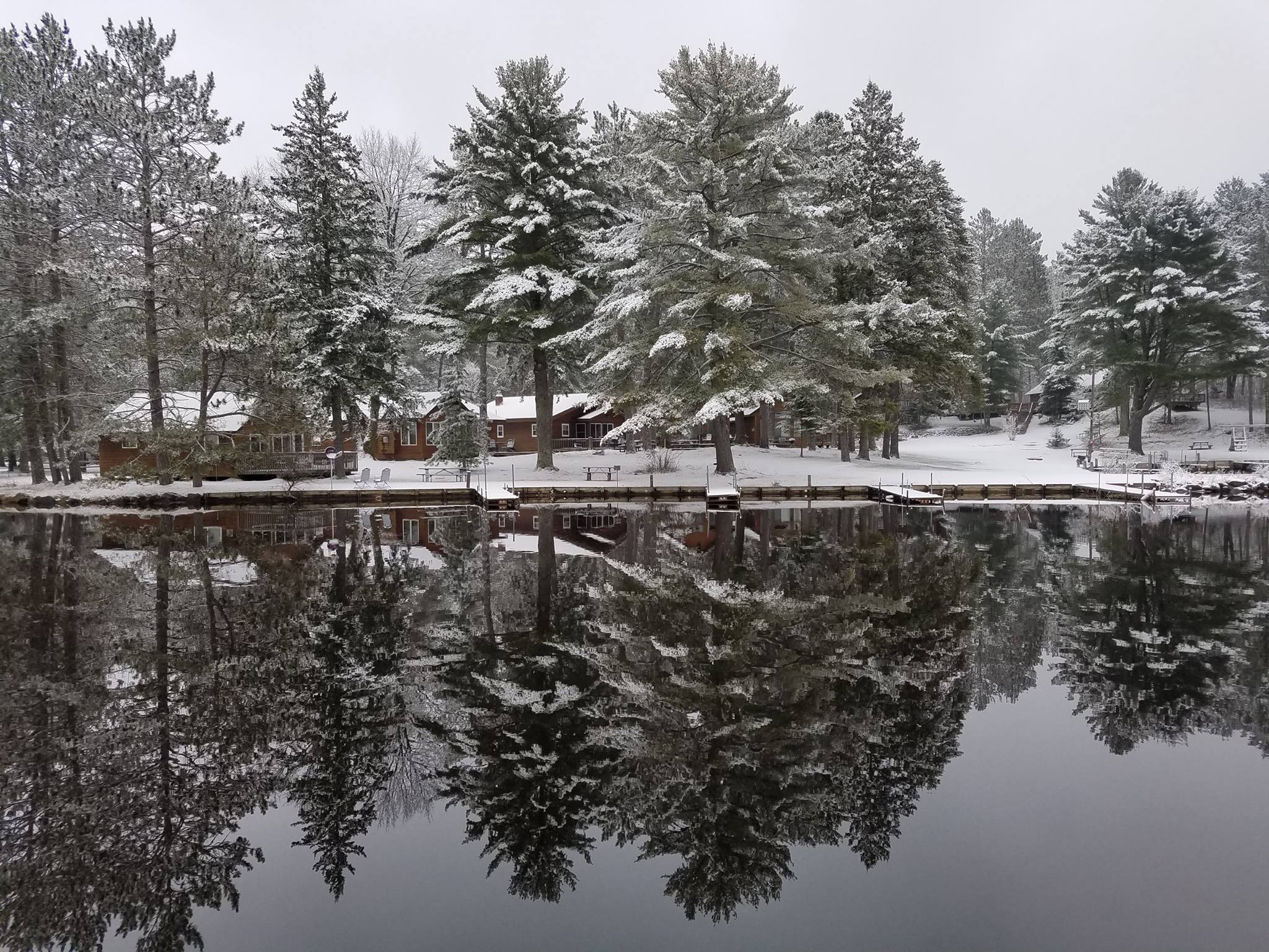 Treeland - The Pines shoreline has a beautiful reflection into the ...