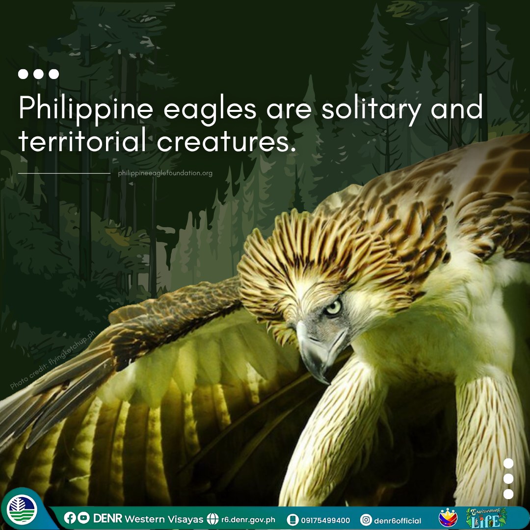 DENR Western Visayas | Iloilo City