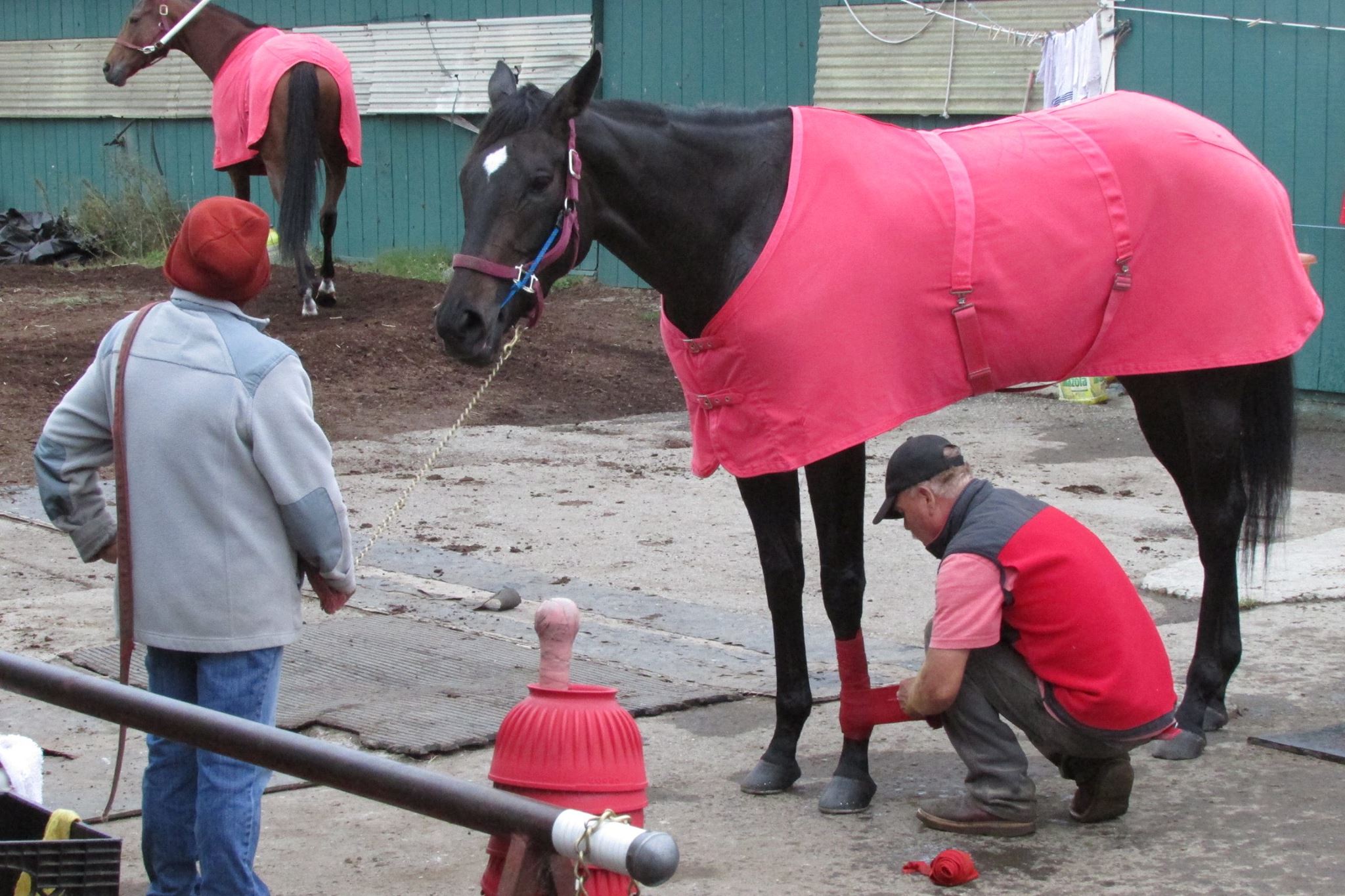 golden gate fields turf club dress code race track view from classy outfit women