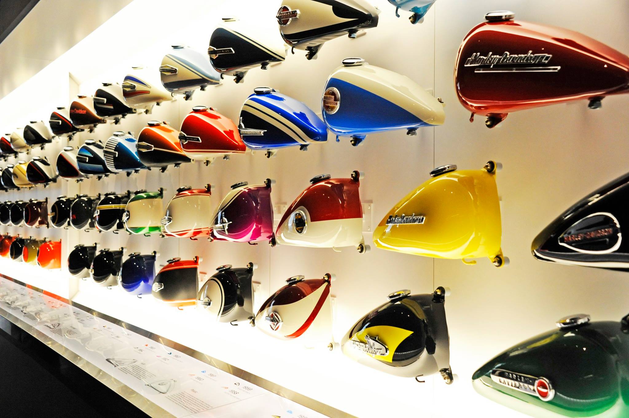 Harley-Davidson - The Tank Wall Featuring 100 tank designs 