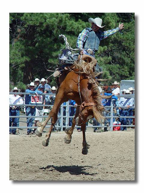 Bud Light MRA Rodeo Finals Schedule... - The Sanford Center