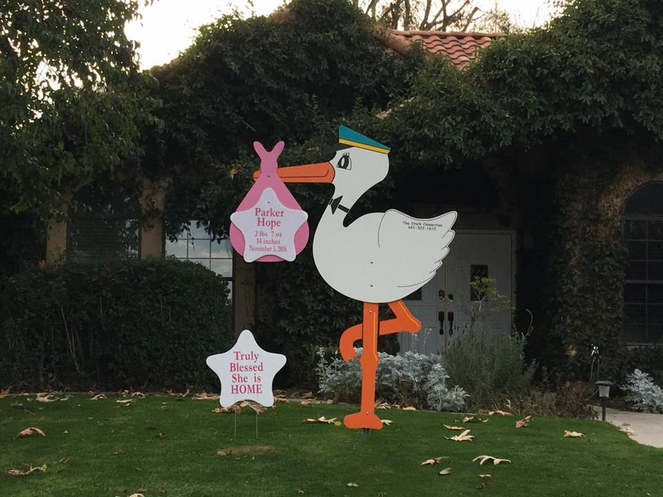The Stork Connection | Bakersfield CA
