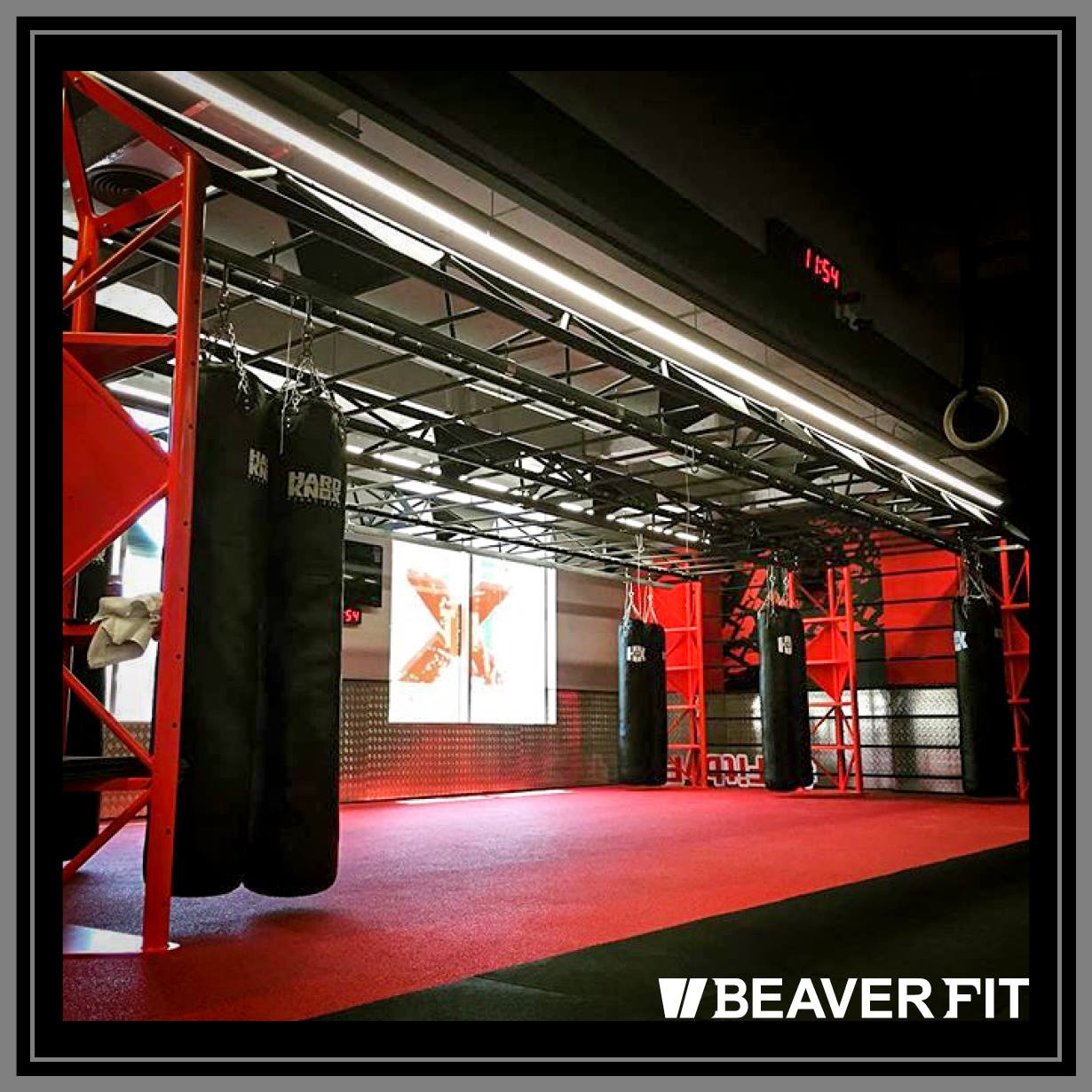 BeaverFit Middle East