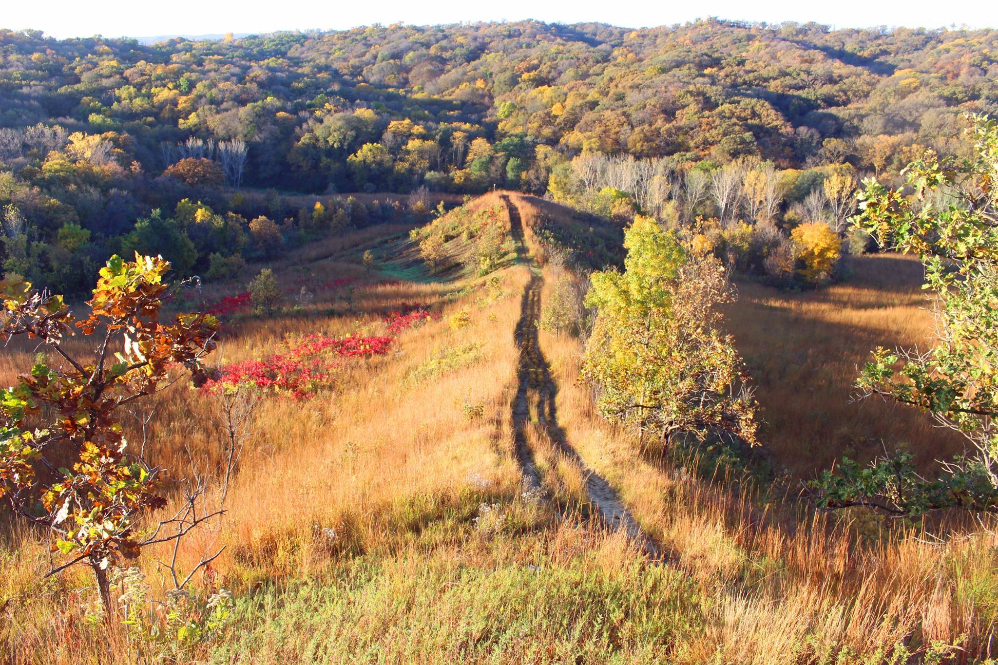 Hitchcock Nature Center added a... - Hitchcock Nature Center