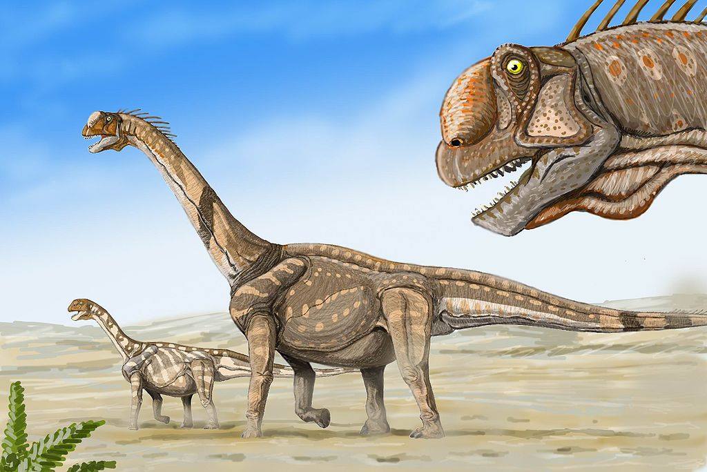 Camarasaurus: a chambered lizard from the Morrison Formation