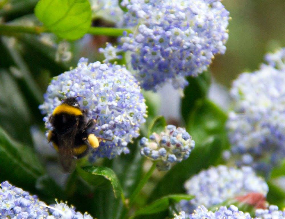 Edinburgh Zoo - Want to learn something new? Check out our new ...