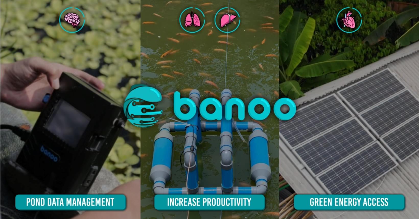 Banoo Indonesia