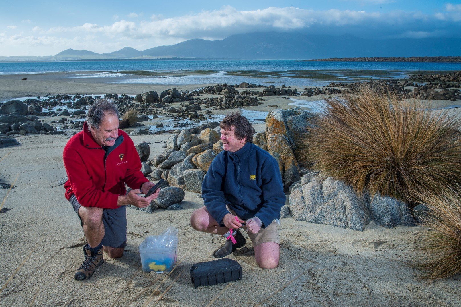 Big Green Island... - Tasmania Parks and Wildlife Service | Facebook