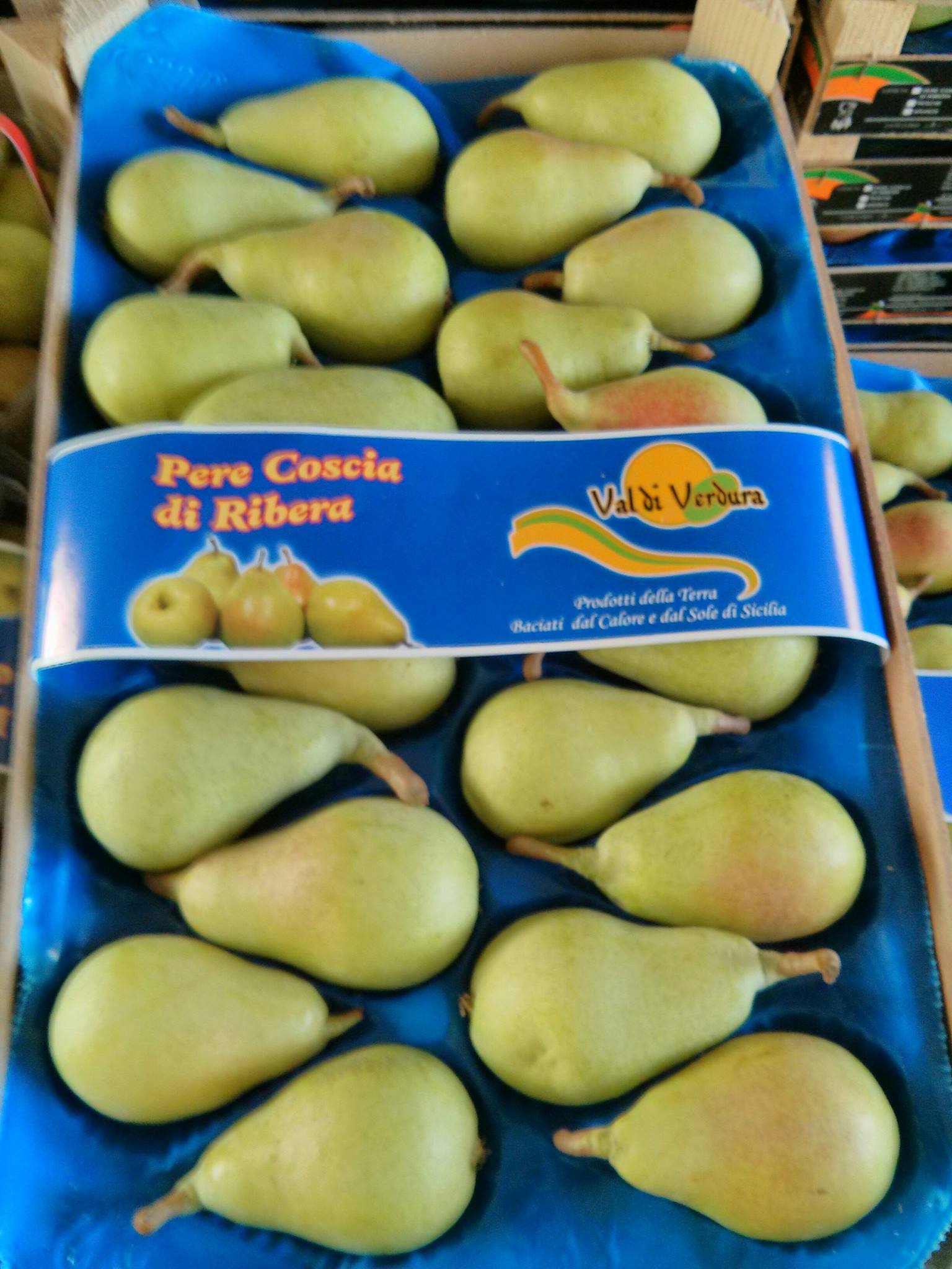 Le Migliori Ricette su Cucinare.ws - AGGREGATORE DI RICETTE