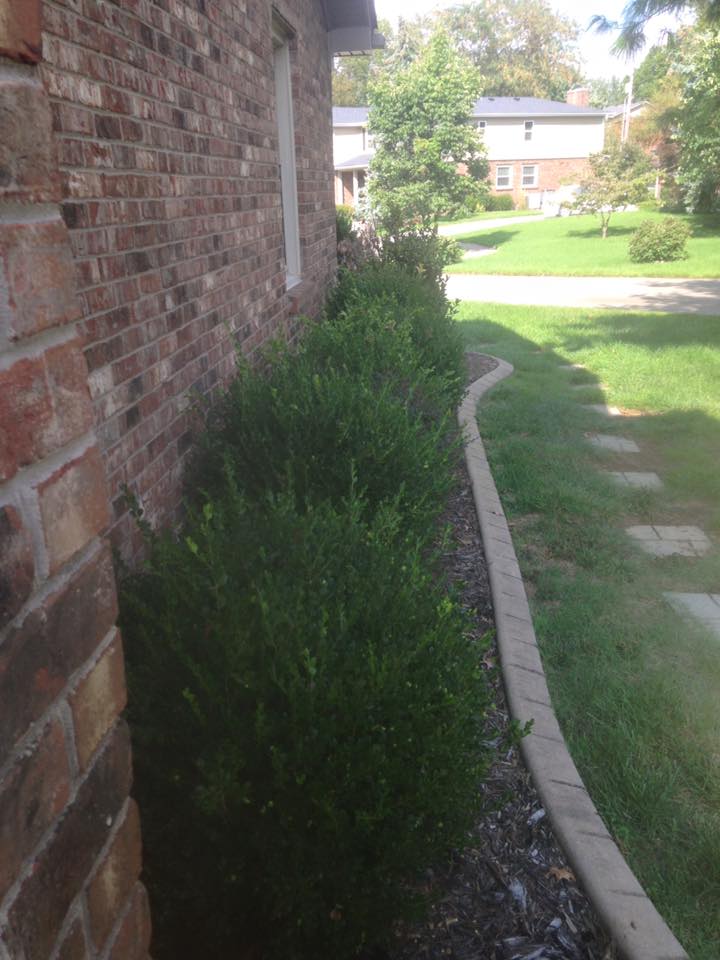 Execu Cuts Lawn and Landscape Specialists | Lawrenceburg KY