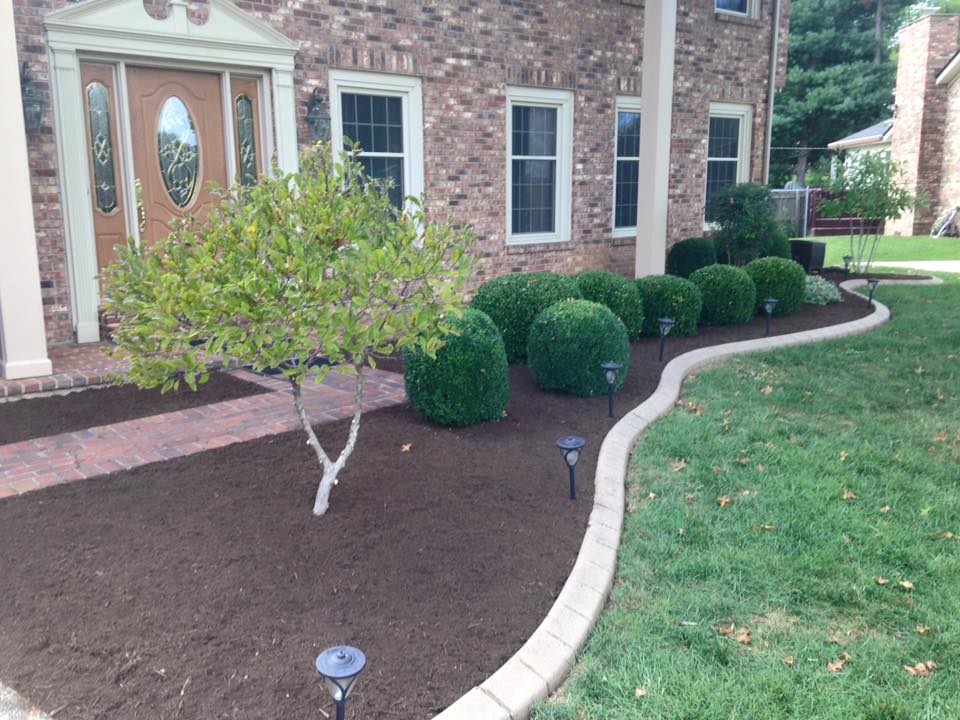 Execu Cuts Lawn and Landscape Specialists | Lawrenceburg KY