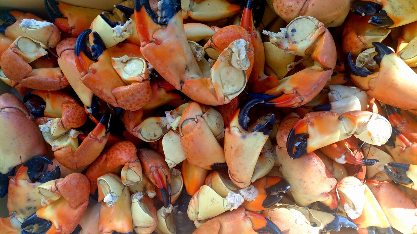 West Coast Stone Crab | Facebook