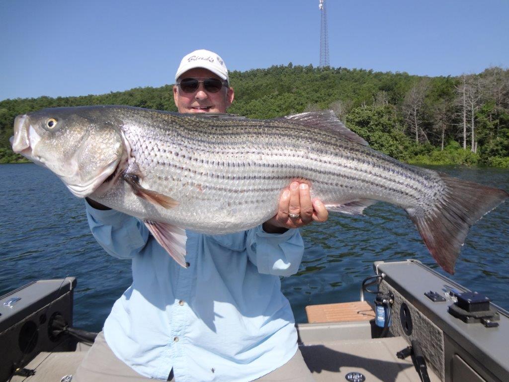 Mississippi River Perch Fishing | Facebook