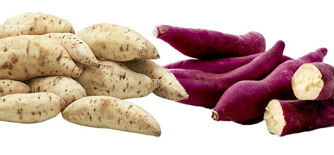RTF Concept - Batata-doce roxa ou branca, quais as diferenças? Qual a ...