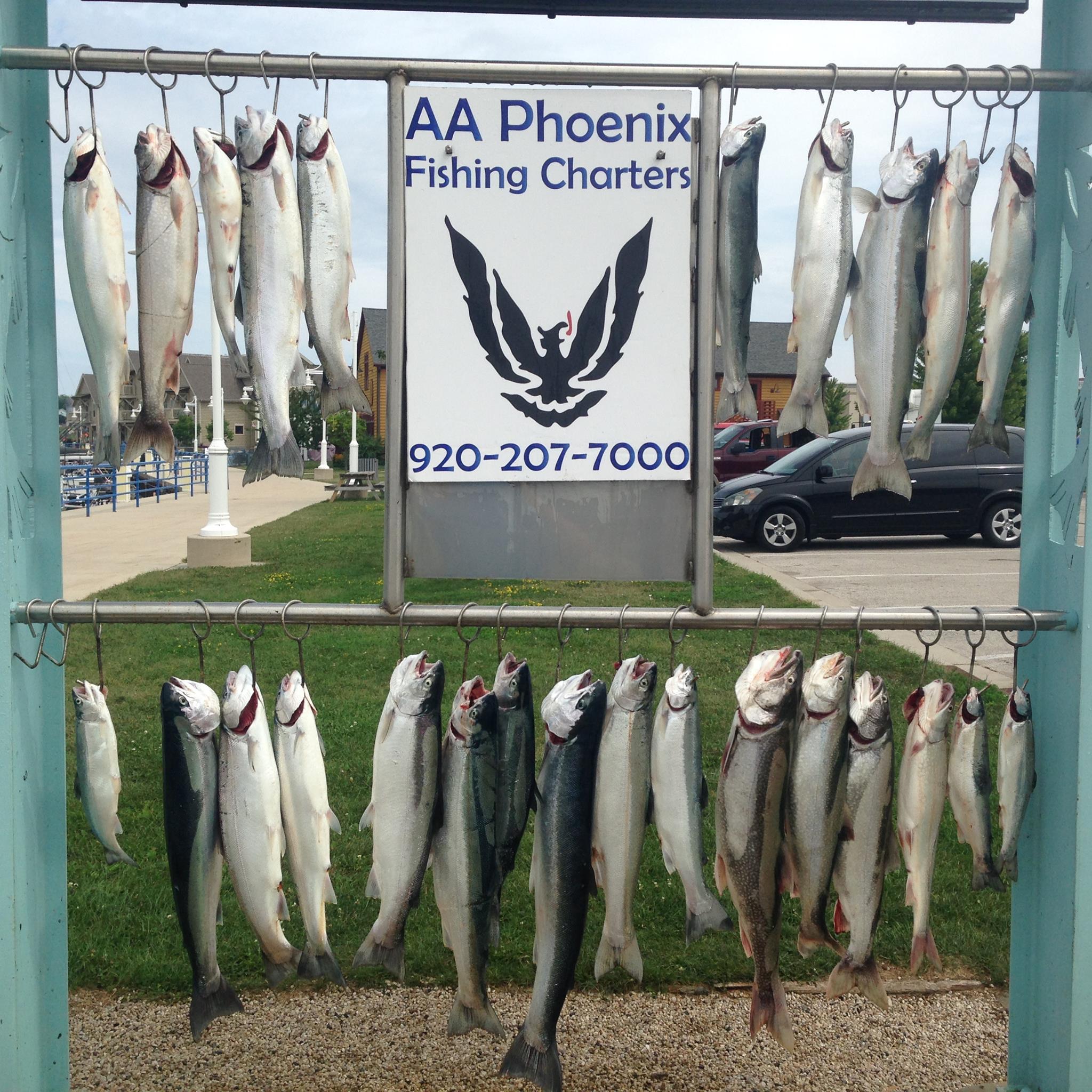 AA Phoenix Fishing Charters | Sheboygan WI