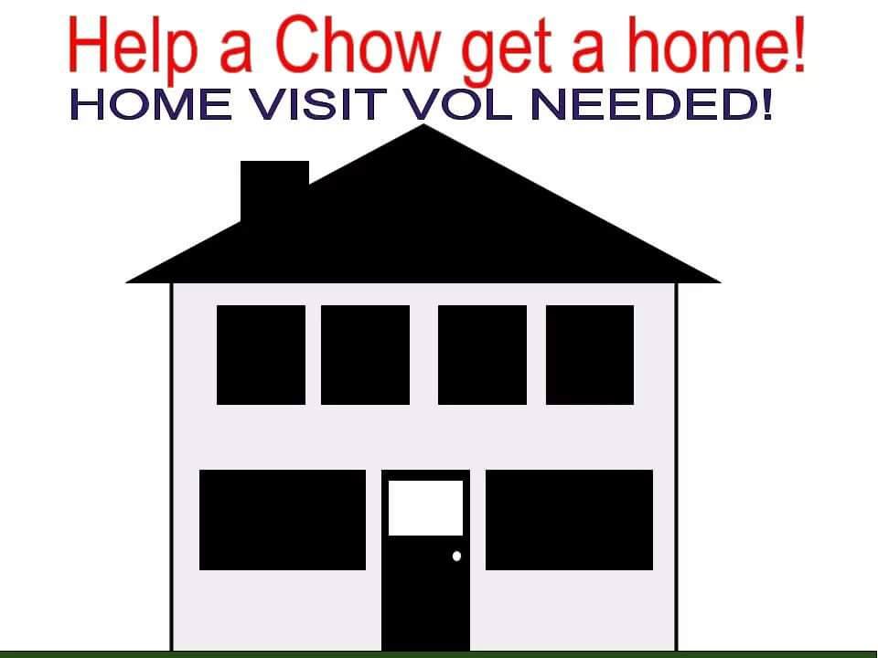 Chow Chow Rescue of Central New York, Inc. - CHOW LOVERS! Can you HELP ...
