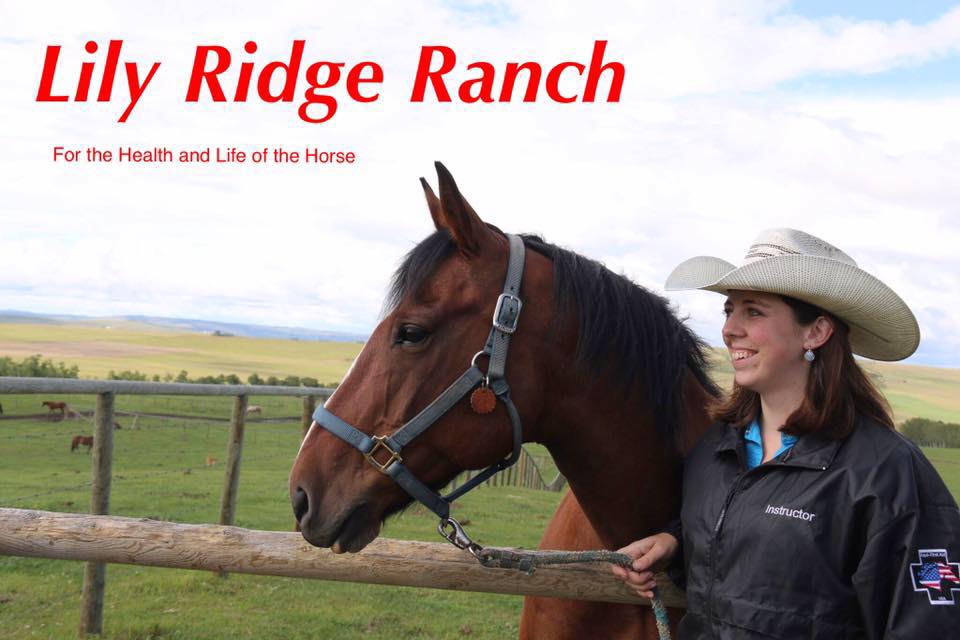 Lily Ridge Ranch | Facebook