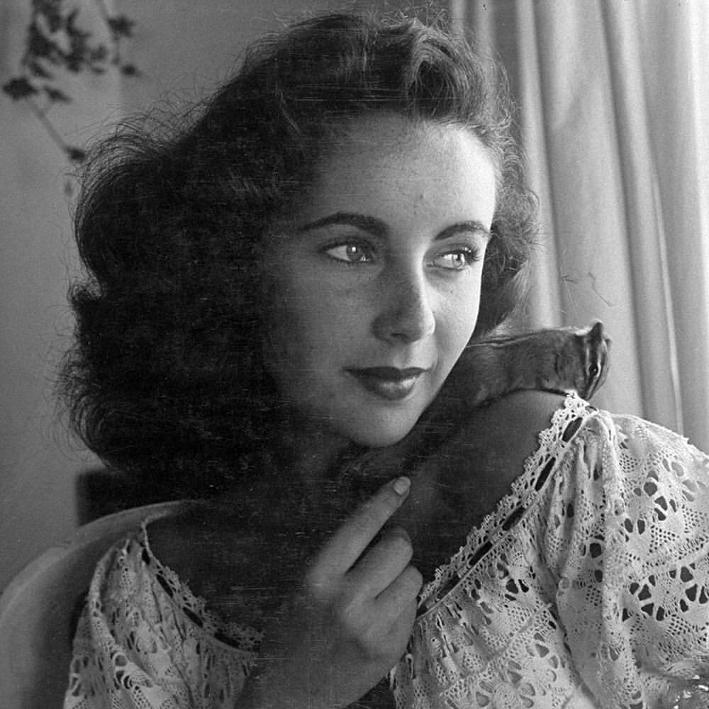 Elizabeth Taylor 直筆サインと白黒ポートレート写真 Elizabeth Liz
