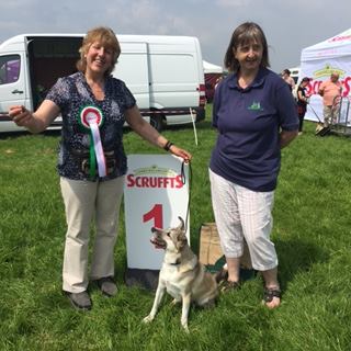 Crufts - Scruffts, sponsored by James Wellbeloved, is...