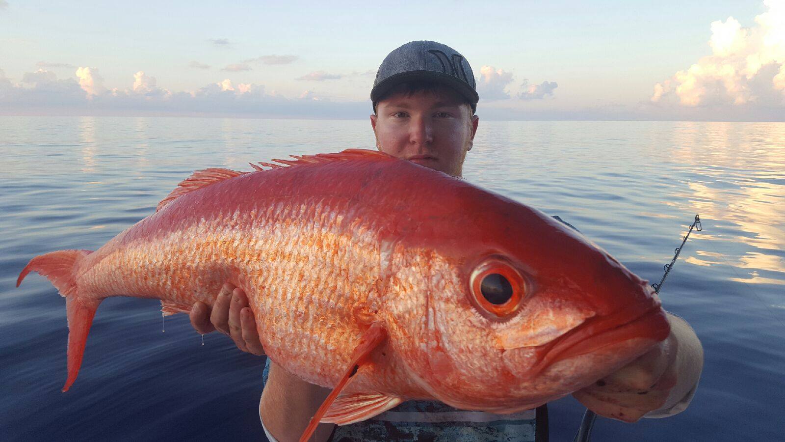 Queen Snapper Fillet