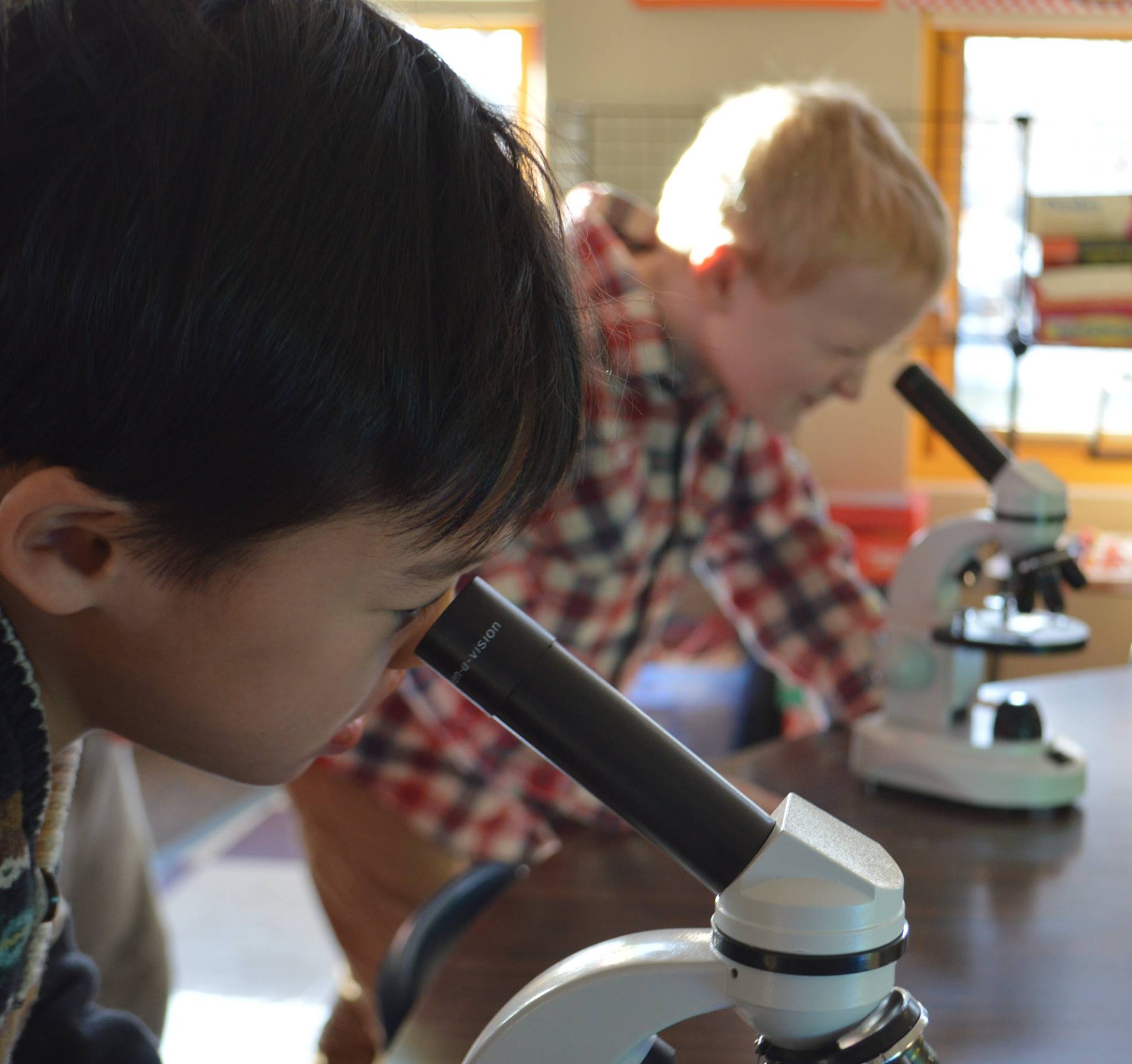 Kindergartners began a unit on... - Science & Arts Academy