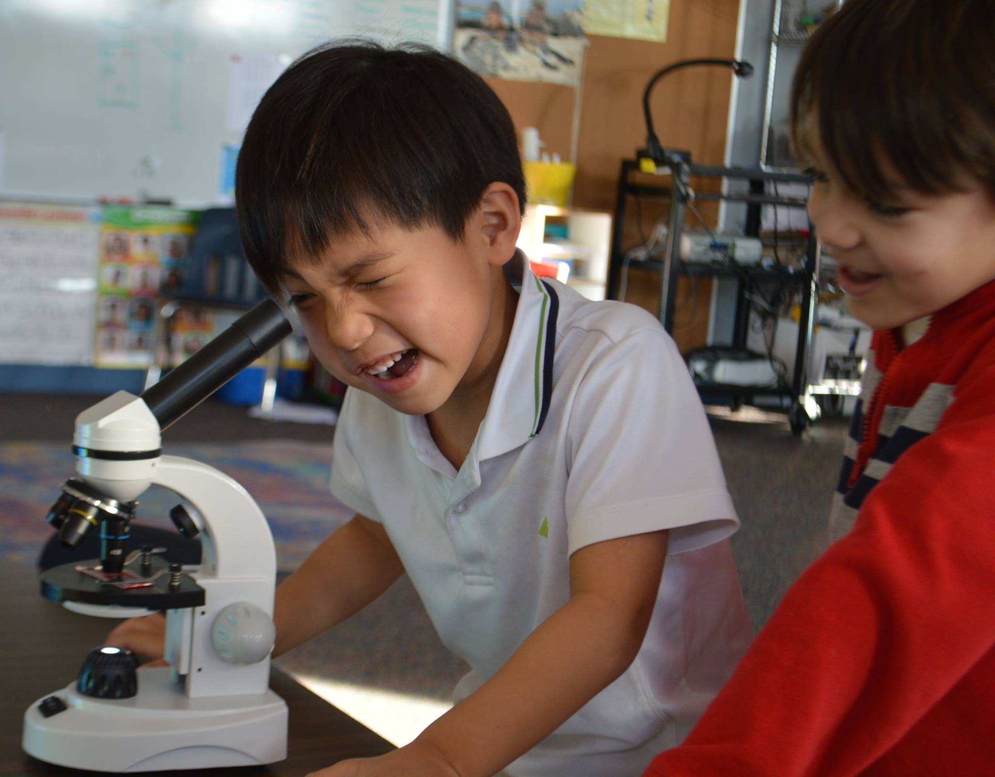 Kindergartners began a unit on... - Science & Arts Academy