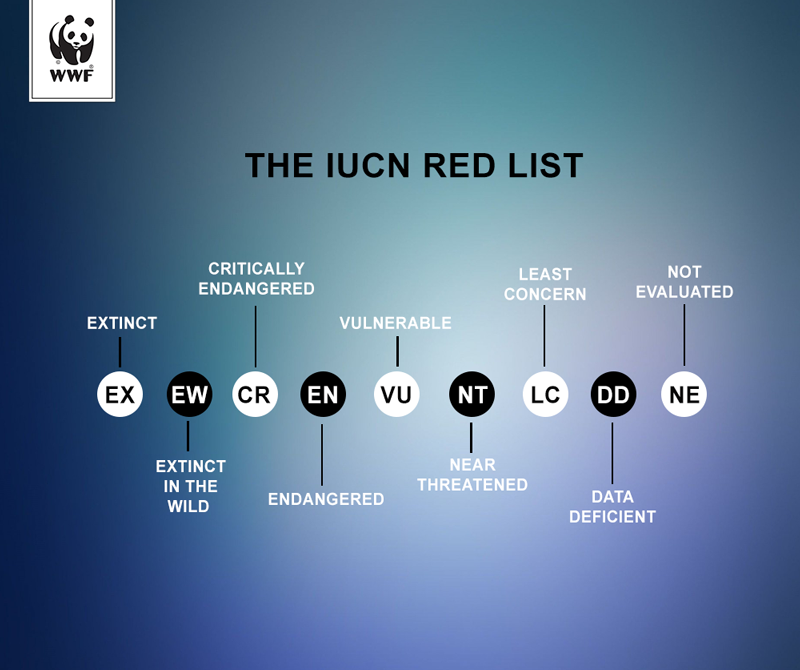 WWF-Pakistan - The IUCN (International Union for Conservation of Nature ...