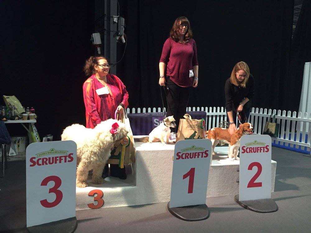 Crufts | Birmingham