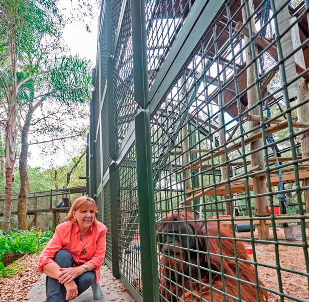 Our Founding Director, Patti Ragan... - Center for Great Apes | Facebook