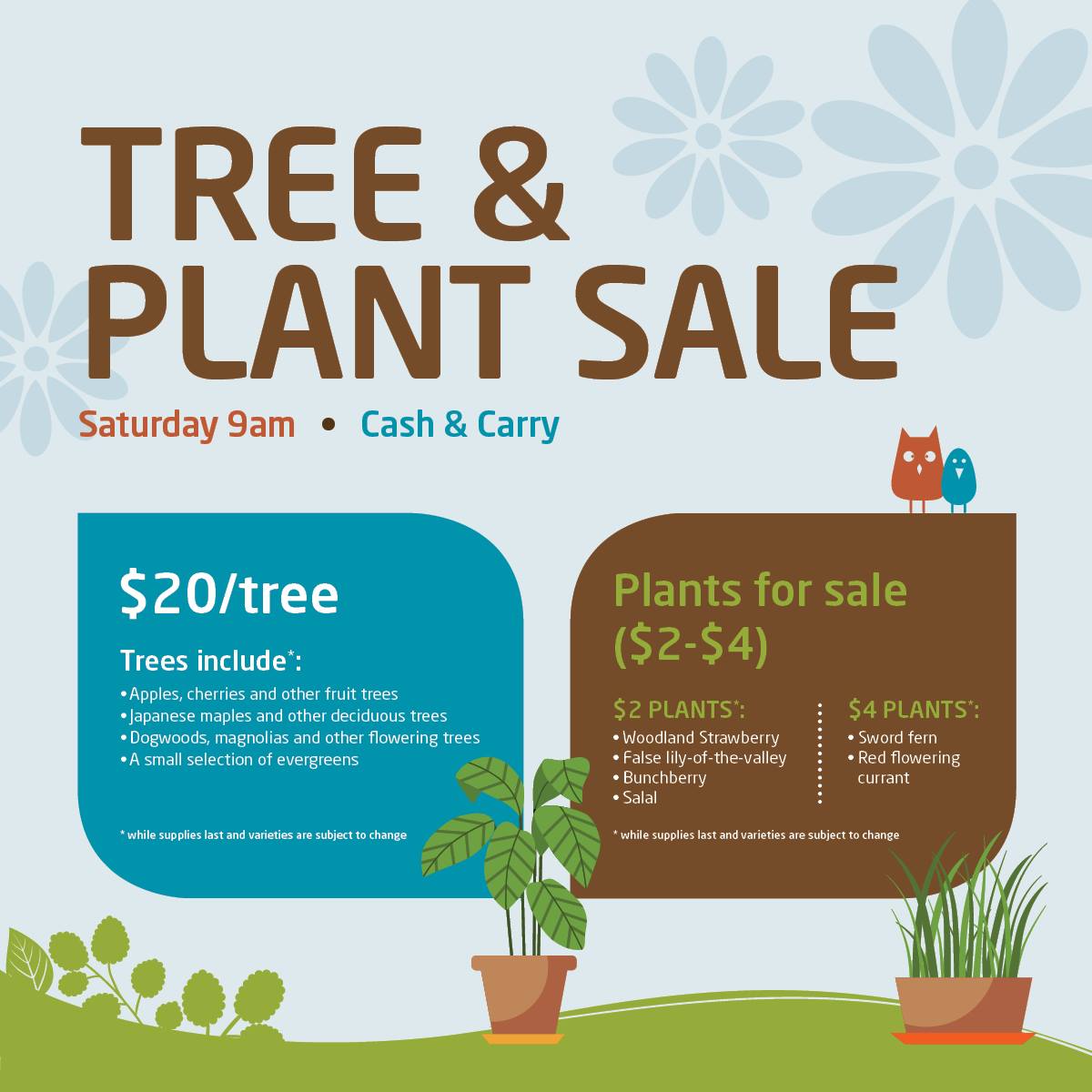 City - Fruit trees, shade trees, flowering trees, oh my! Stop by our ...